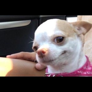 EVERYTHING BEYOND THIS POINT IS SOLD